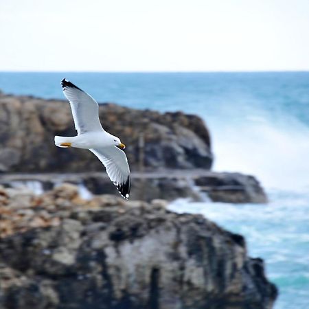 Casa Vacanza Leuca Santa Maria di Leuca Zewnętrze zdjęcie